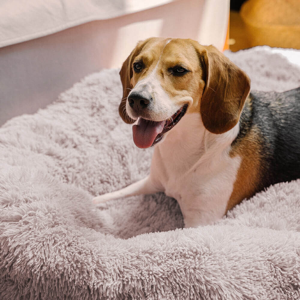 Lit pour Chien - Rond Douillet