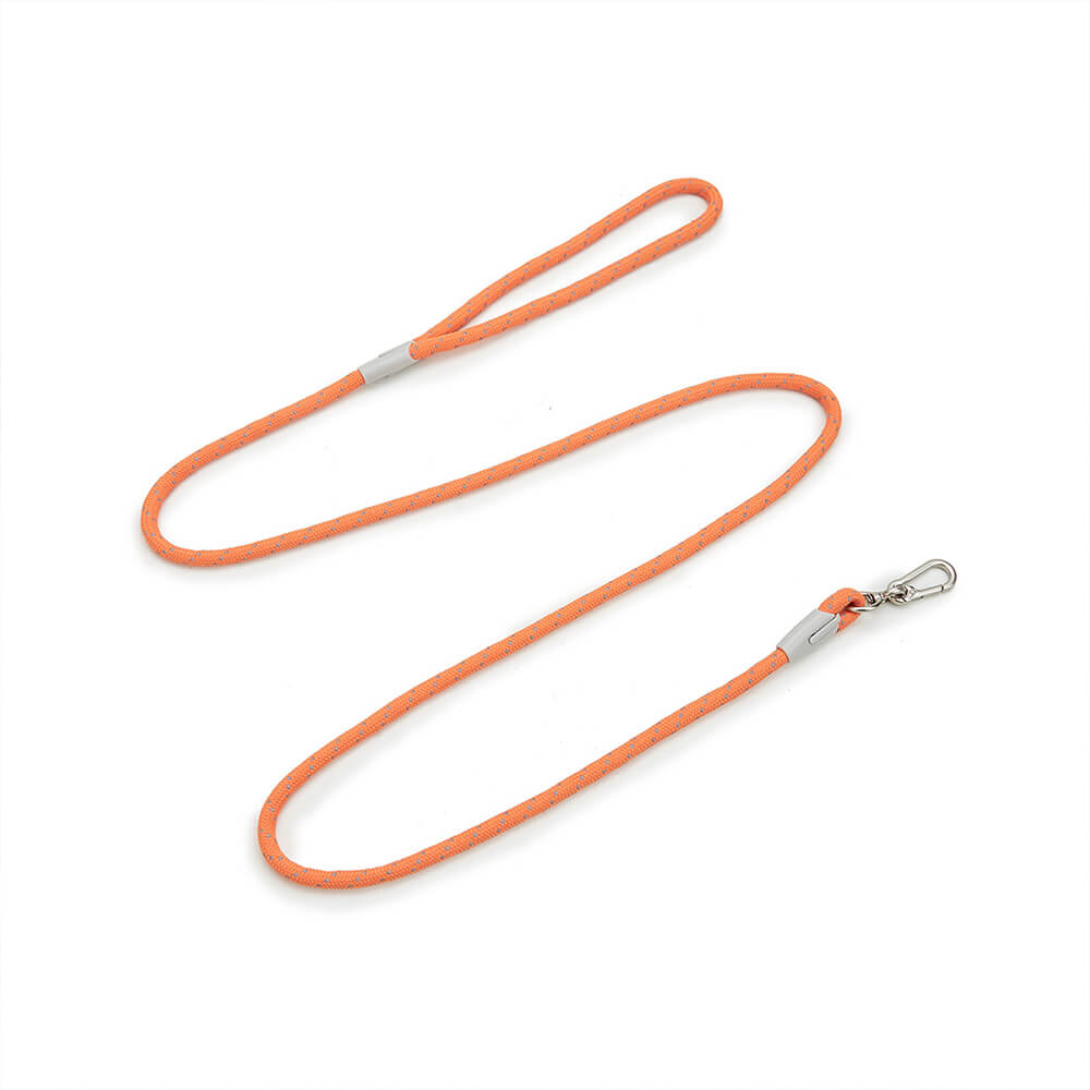 Harnais et Laisse Anti-Traction Confort Total pour Chien