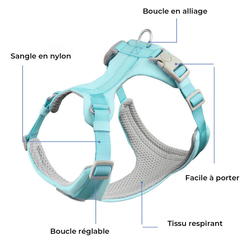 Harnais et Laisse Anti-Traction Confort Total pour Chien