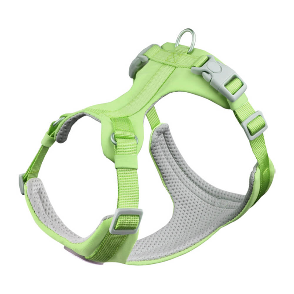 Harnais et Laisse Anti-Traction Confort Total pour Chien