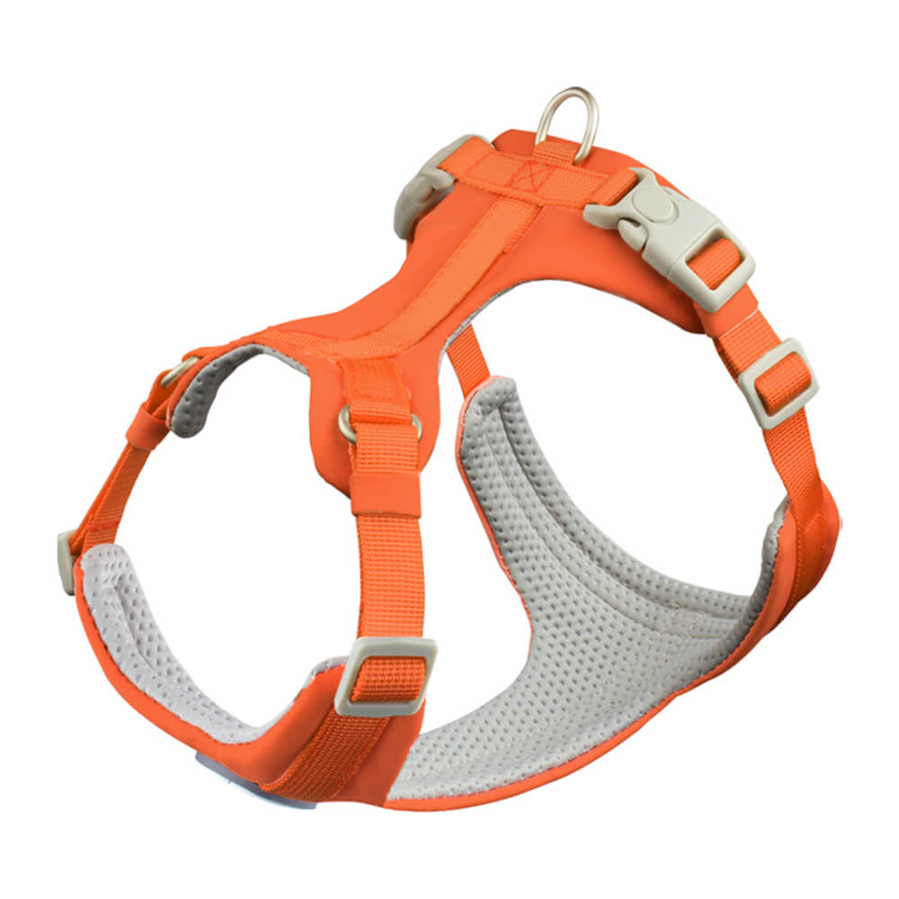 Harnais et Laisse Anti-Traction Confort Total pour Chien