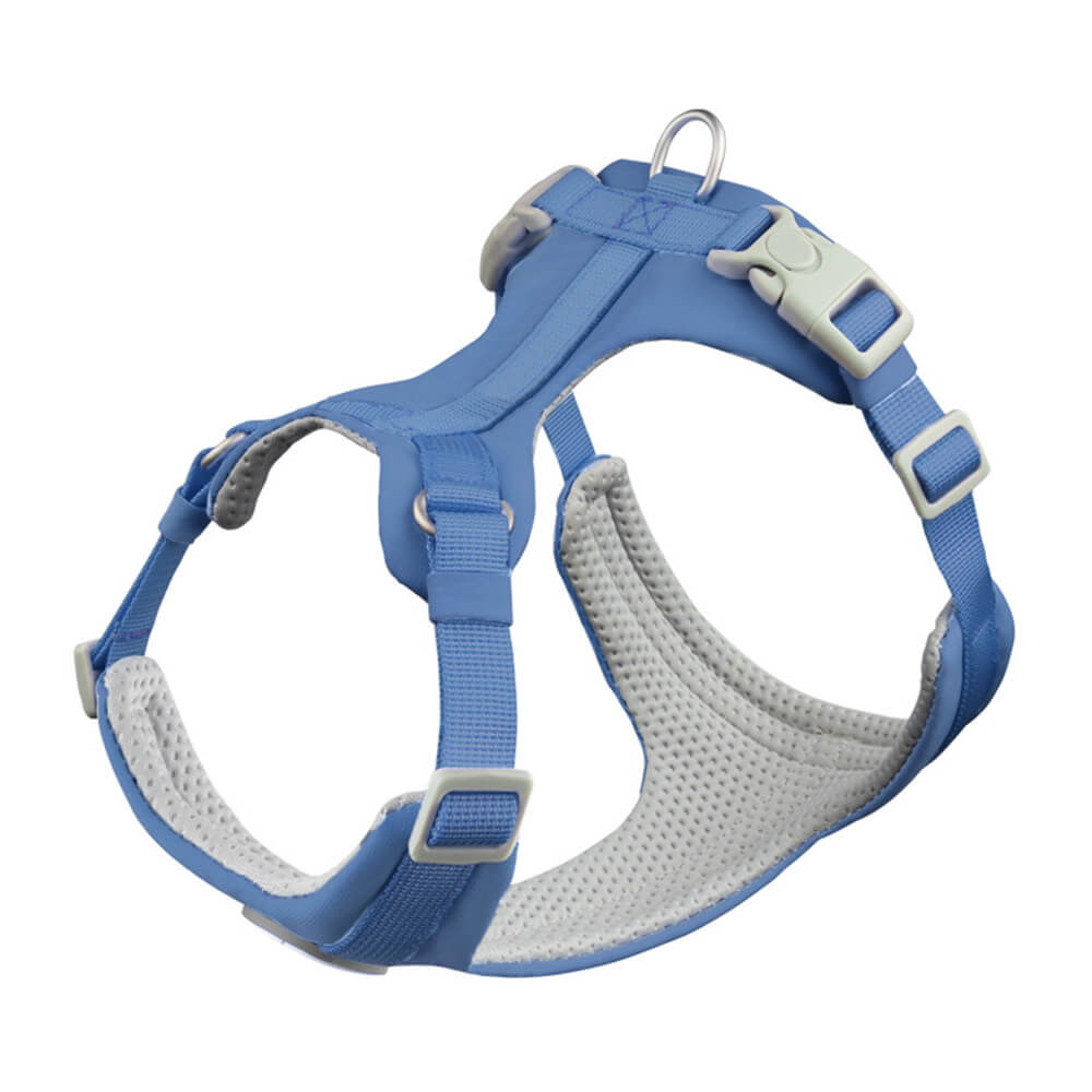 Harnais et Laisse Anti-Traction Confort Total pour Chien