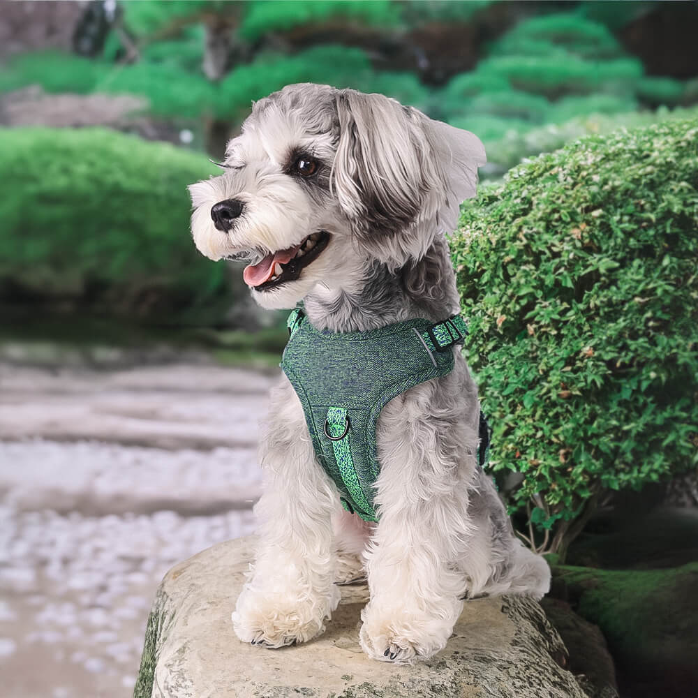 Harnais/laisse pour chien anti-traction en tissu recyclé et écologique