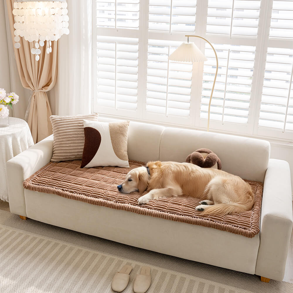Tapis en flanelle douce et respirante pour animaux avec housse de canapé antidérapante