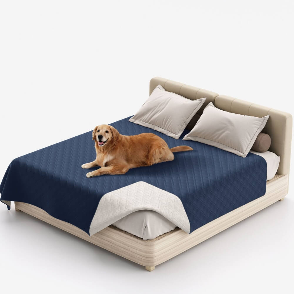 Couverture multifonction pour animaux déperlante protège-matelas et drap plat