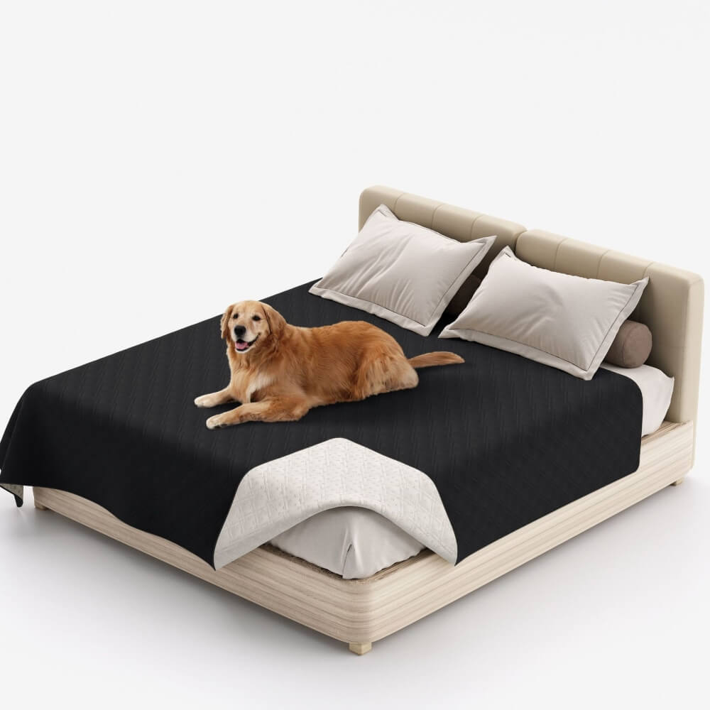 Couverture multifonction pour animaux déperlante protège-matelas et drap plat