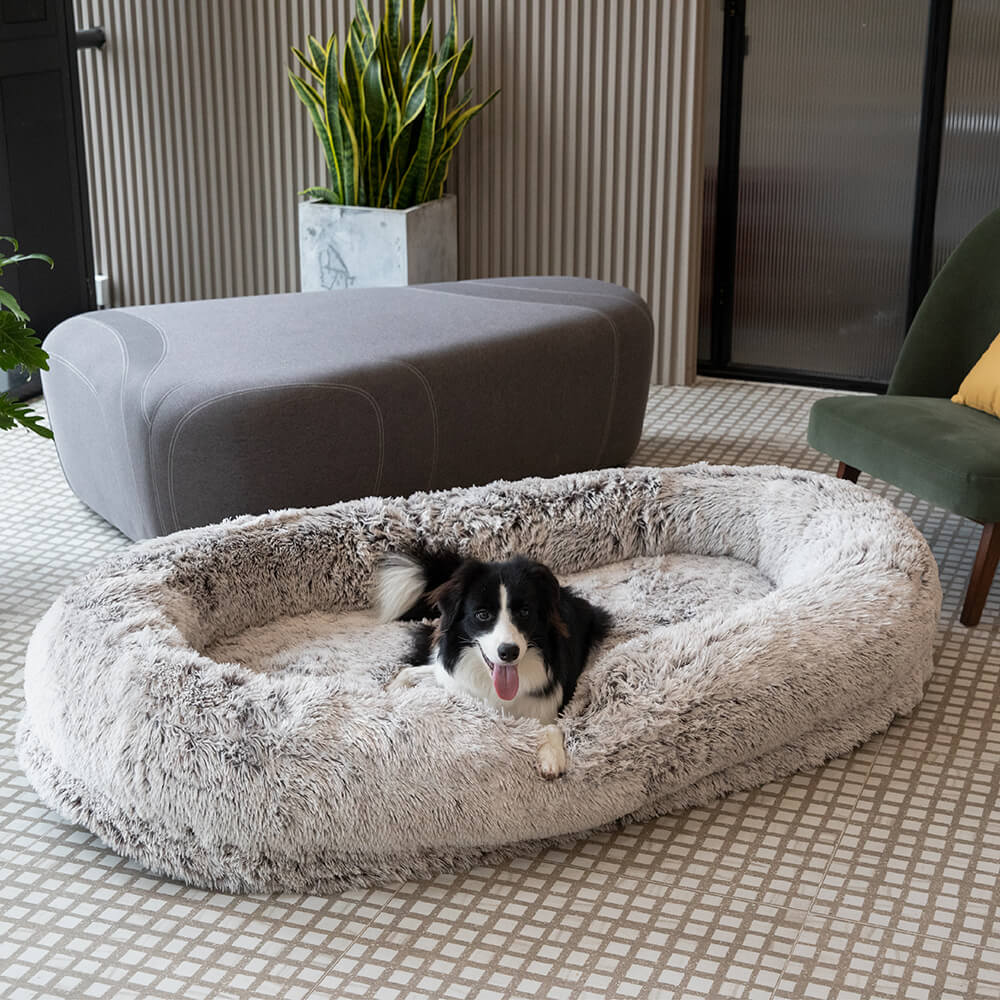 Lit orthopédique en peluche pour chien et homme