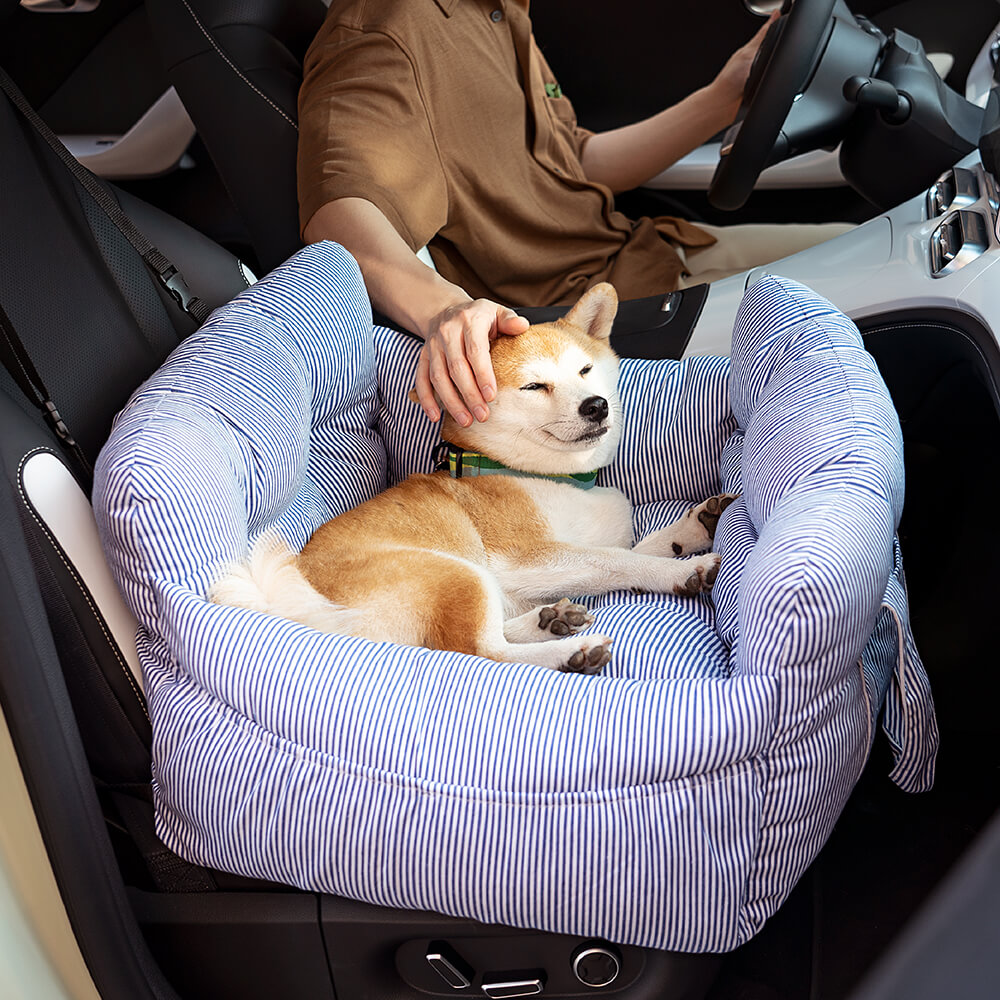 Siège auto pour chien - Première Classe