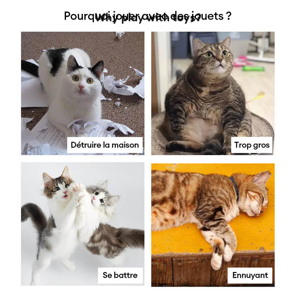 Jouet interactif pour chat avec plume et ventouse