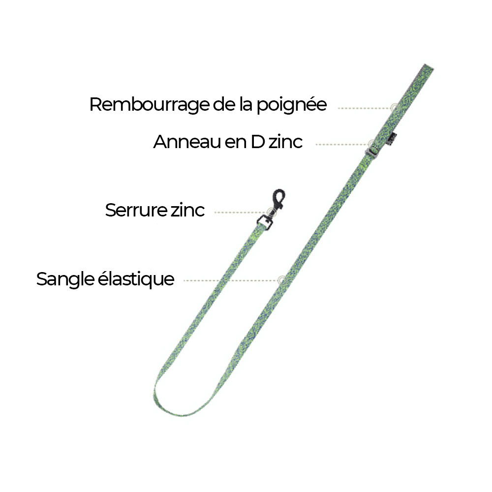 Harnais/laisse pour chien anti-traction en tissu recyclé et écologique