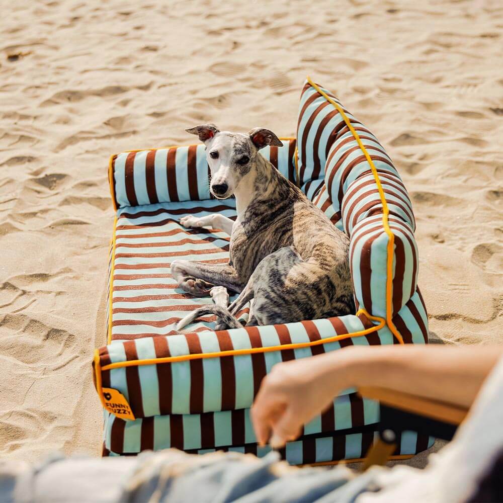 Canapé-lit pliable déperlant pour chien à rayures tendance - Sunny Siesta