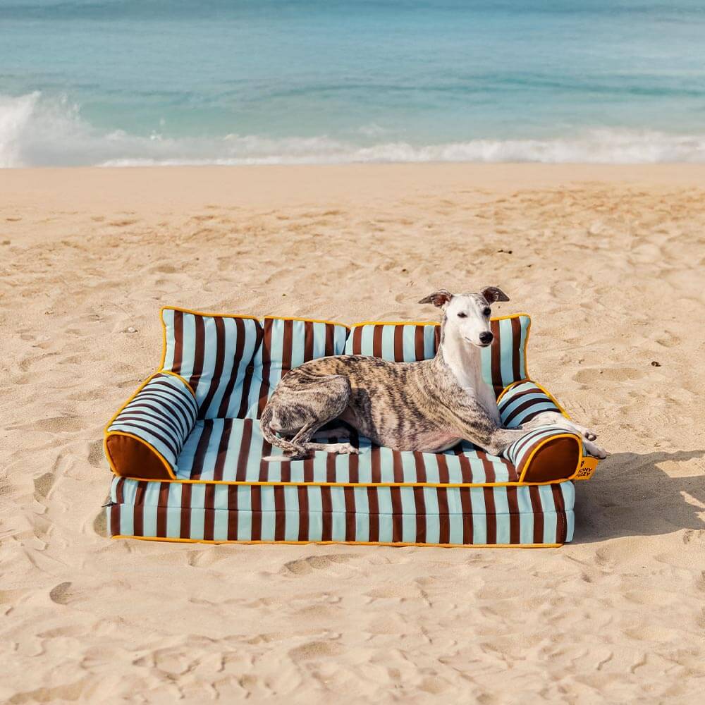 Canapé-lit pliable déperlant pour chien à rayures tendance - Sunny Siesta