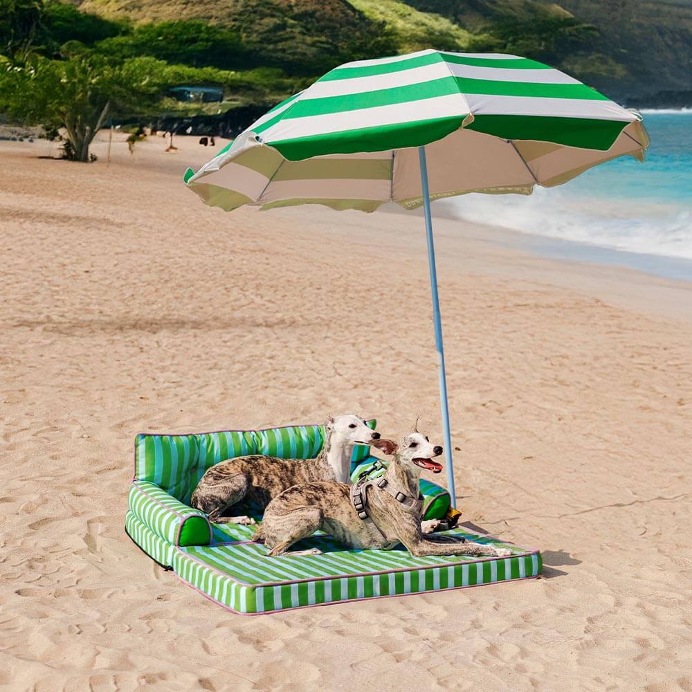 Canapé-lit pliable déperlant pour chien à rayures tendance - Sunny Siesta