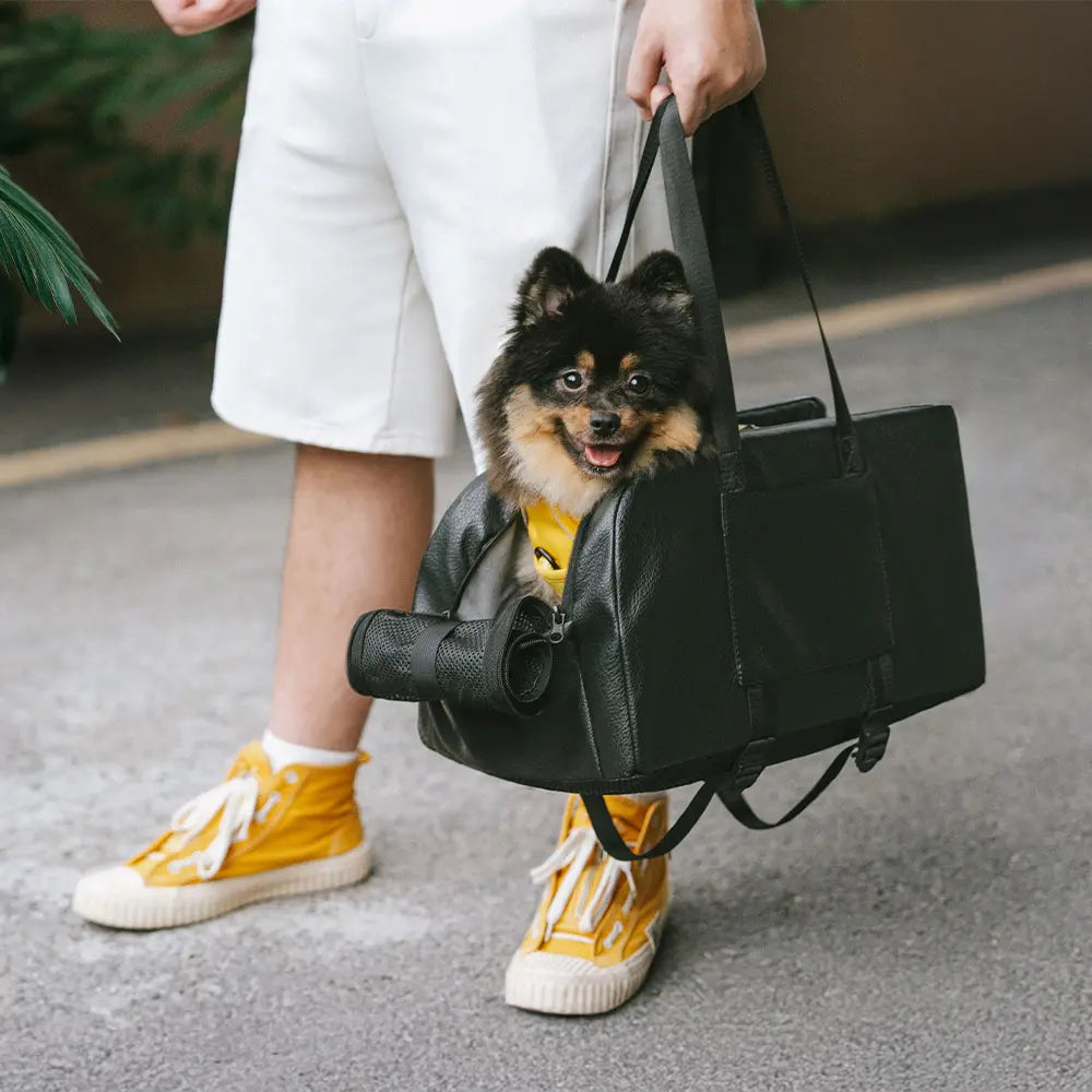 Siège auto détachable surélevé pour petits chiens console centrale