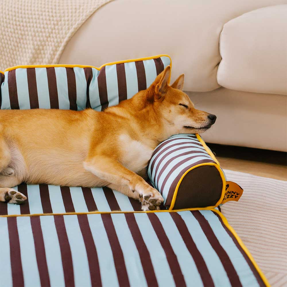Canapé-lit pliable déperlant pour chien à rayures tendance - Sunny Siesta