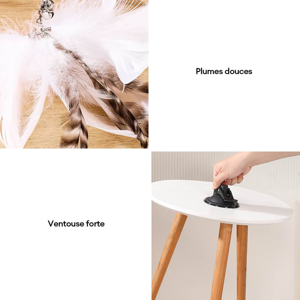 Jouet interactif pour chat avec plume et ventouse