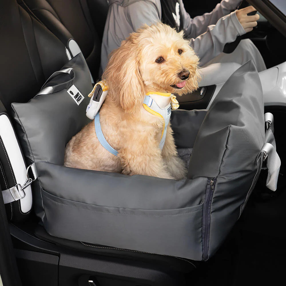 Siège auto pour chien - Première Classe