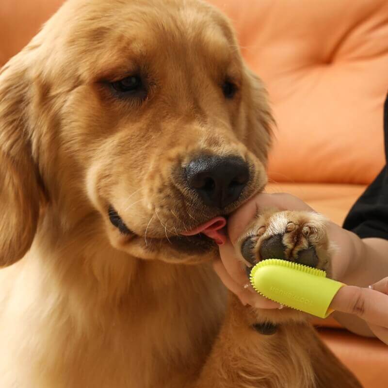 Brosse à dents doigt pour animaux nettoyage dentaire-Exclusif app