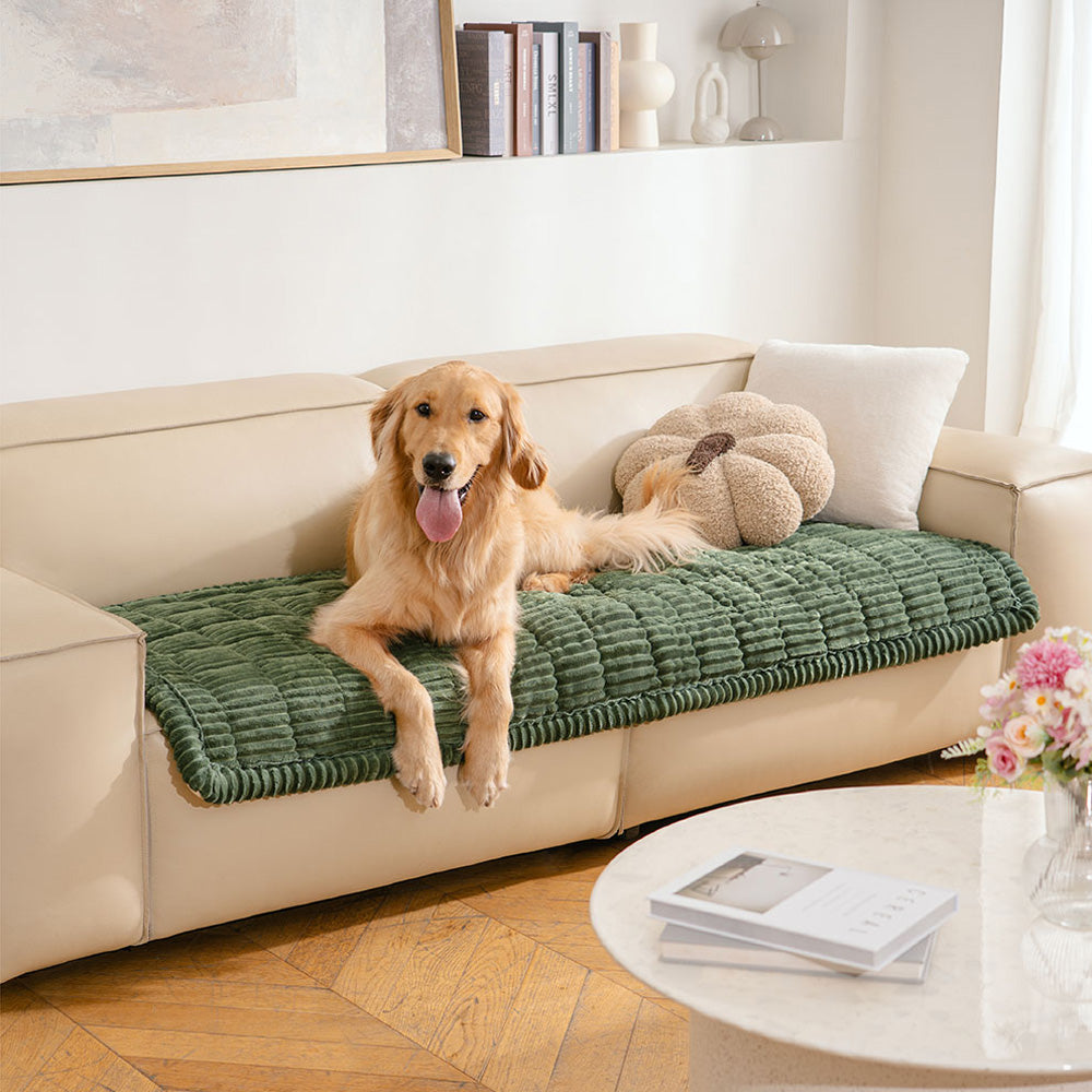 Housse de canapé en biscuits gaufrés flanelle douce et confortable avec tapis respirant pour animaux