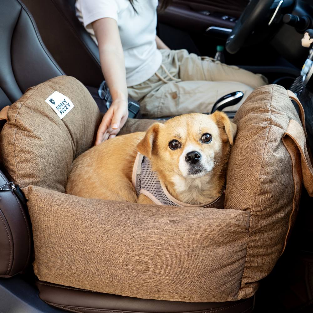 Siège auto pour chien - Première Classe