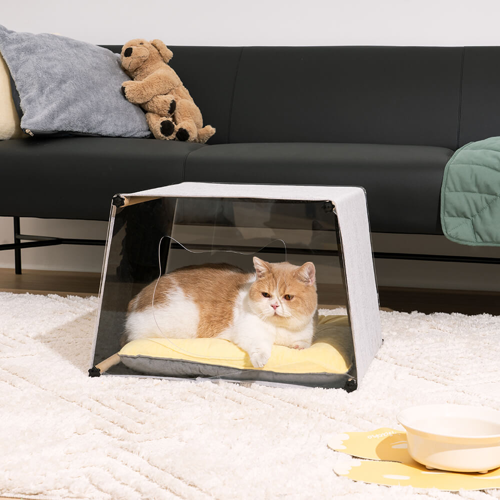 Maison d'intérieur en acrylique avec structure en bois massif pour chat