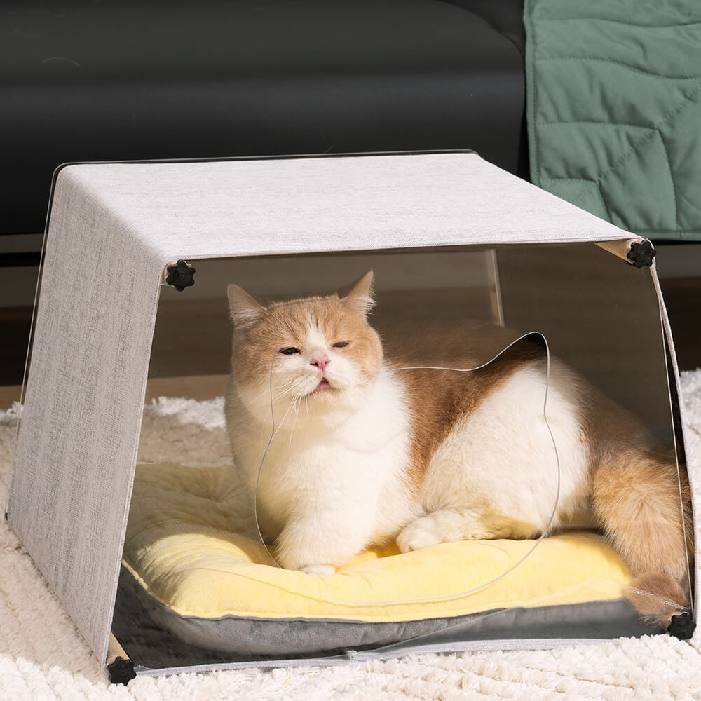 Maison d'intérieur en acrylique avec structure en bois massif pour chat