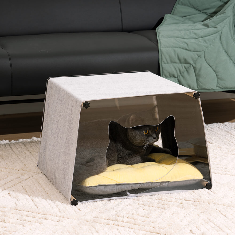 Maison d'intérieur en acrylique avec structure en bois massif pour chat