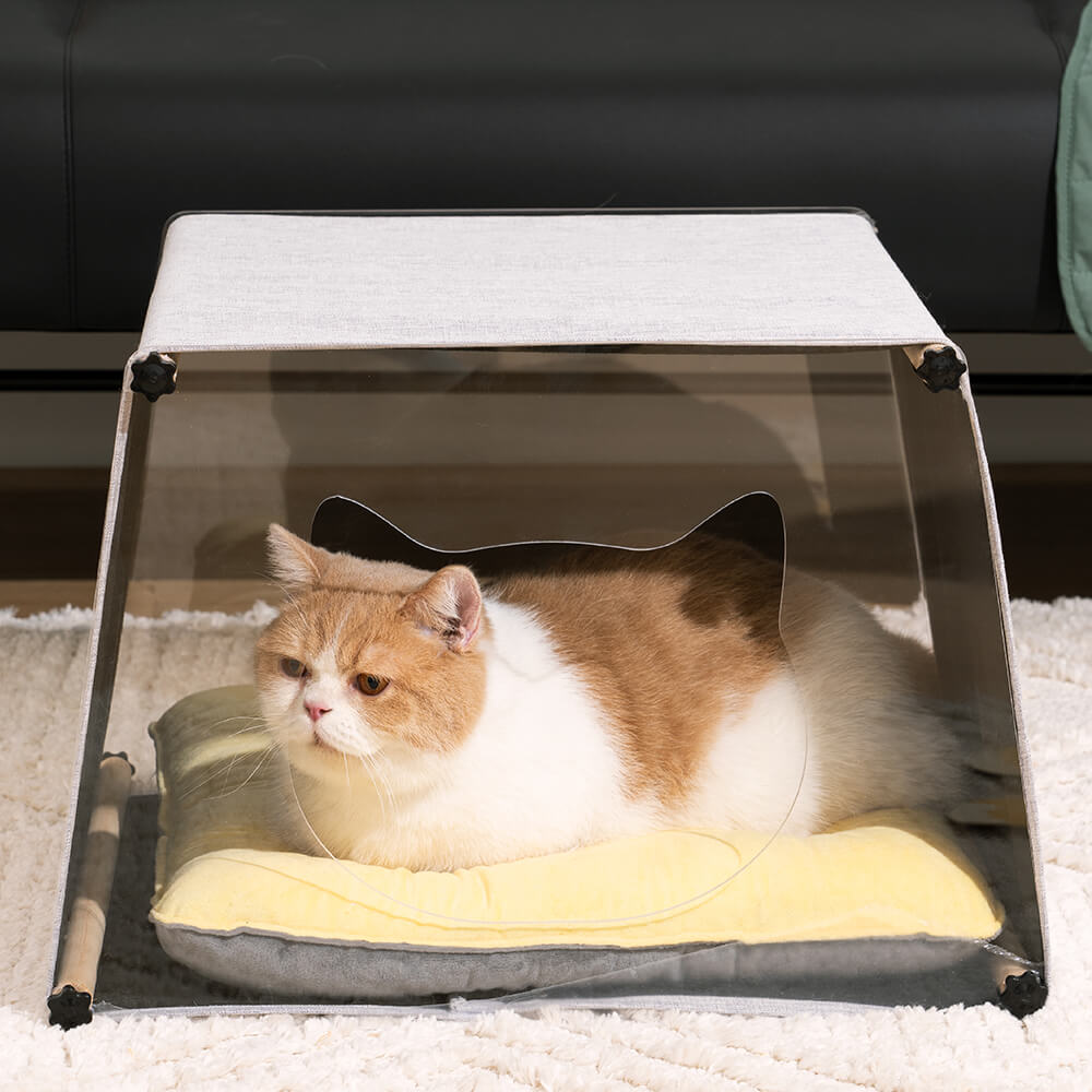 Maison d'intérieur en acrylique avec structure en bois massif pour chat