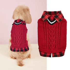 Gilet tricoté torsadé pour chien avec col à carreaux idéal pour l'automne et l'hiver