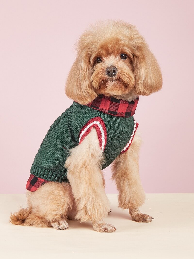 Gilet tricoté torsadé pour chien avec col à carreaux idéal pour l'automne et l'hiver