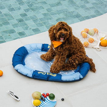 Tapis rafraîchissant pour chien et chat rempli d'eau pour chiens - Chill Nest