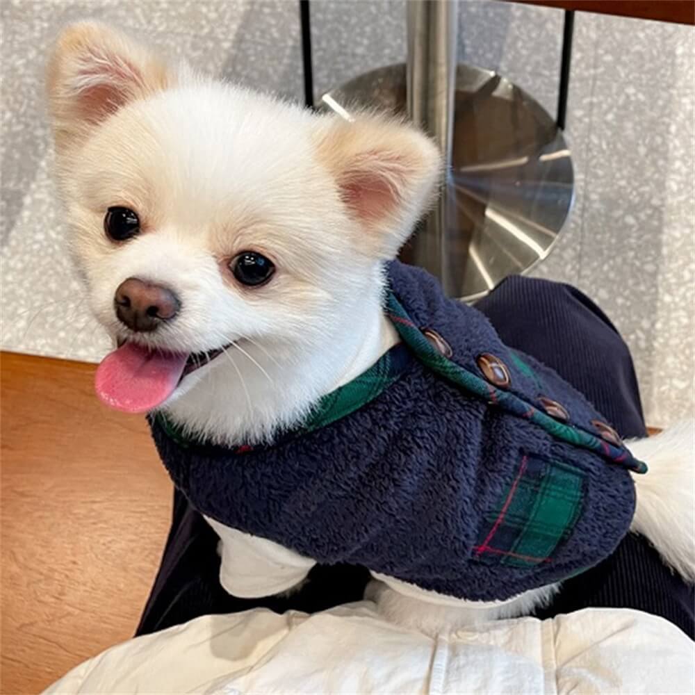 Veste d'hiver à carreaux pour chien avec écharpe festive et confortable pour les fêtes