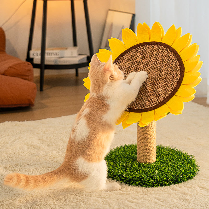 Planche à gratter pour chat en sisal tournesol avec base en herbe stable