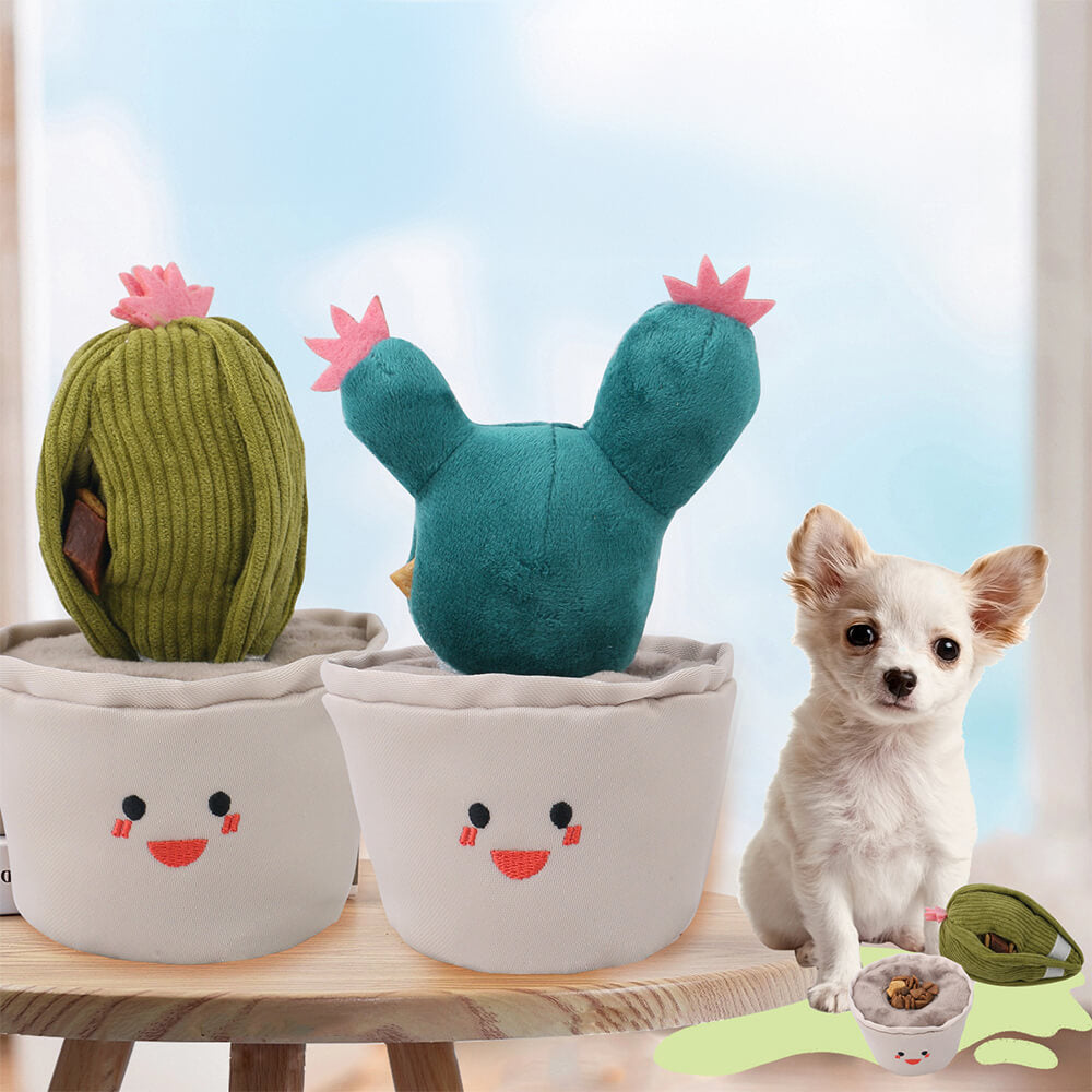 Jouet Cactus en peluche jouet couineur pour chien jouet interactif distributeur lent