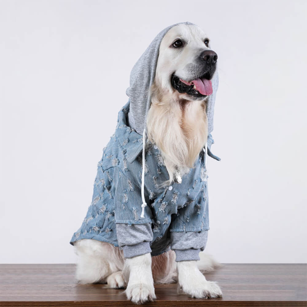 Veste à capuche en jean déchiré pour chien