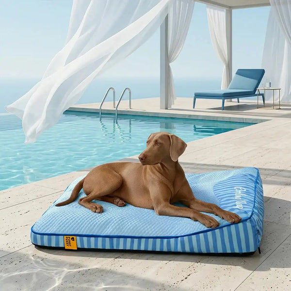 Grand Tapis Rafraichissant Chien Lavable Antidérapant pour Chiens d'Extérieur - Sieste Refroidissante
