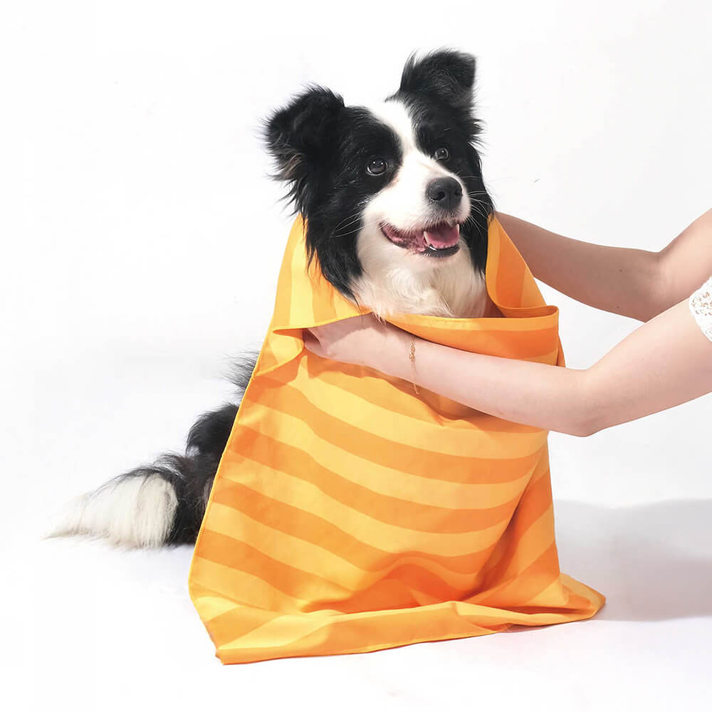 Serviette de voyage ultra absorbante et légère pour chien à séchage rapide