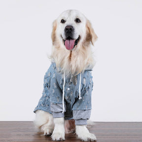 Veste à capuche en jean déchiré pour chien