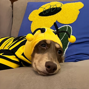 Costume Abeille Amusant et Original avec Capuche pour Chien