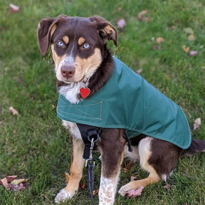 Manteau de pluie extérieur pour chien imperméable léger avec Velcro élégant