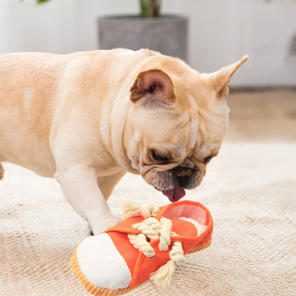 Jouet interactif pour chien en corde durable avec chaussures colorées