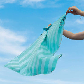 Serviette de voyage ultra absorbante et légère pour chien à séchage rapide