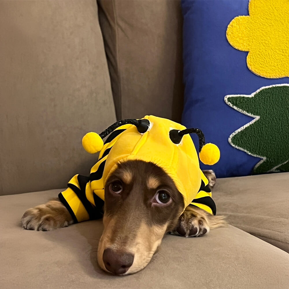 Costume Abeille Amusant et Original avec Capuche pour Chien