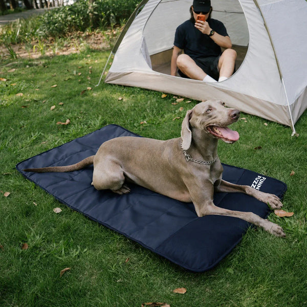 Tapis de chien étanche portable - Urban Roaming