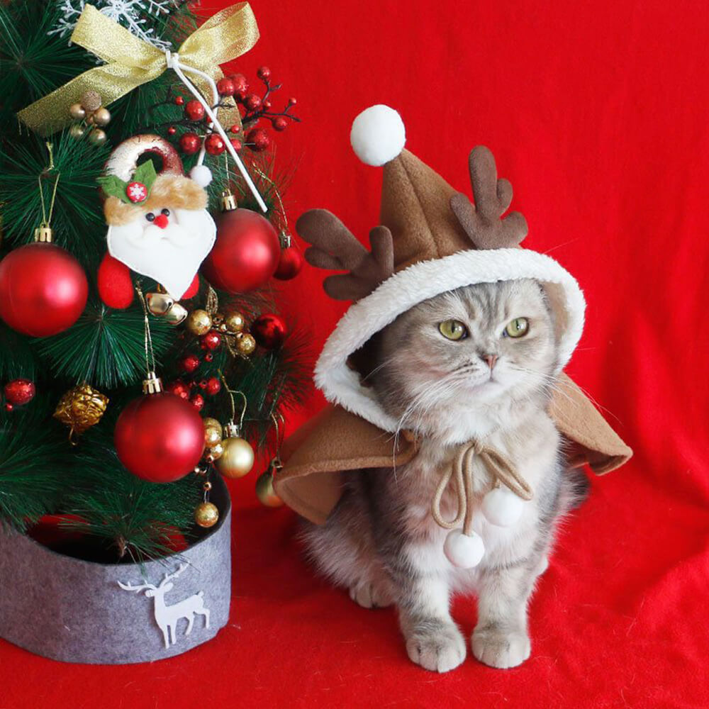 Poncho châle à capuche chic et chaud pour chien et chat de Noël