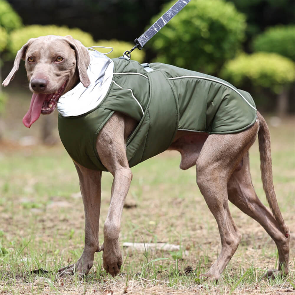 Veste imperméable chaude à col haut et réfléchissante pour chien