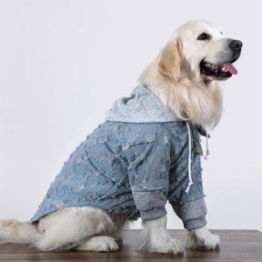 Veste à capuche en jean déchiré pour chien