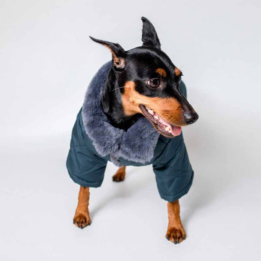 Manteau pour chien en fausse fourrure chaude et confortable avec boutons-pression