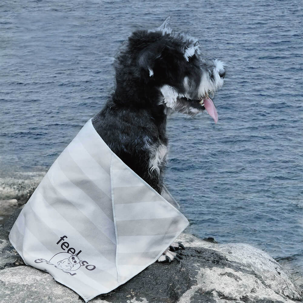 Serviette de voyage ultra absorbante et légère pour chien à séchage rapide