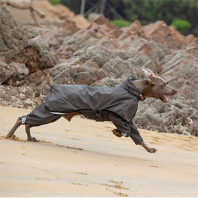 Imperméable pour chien à quatre pattes avec capuche à motif réfléchissant